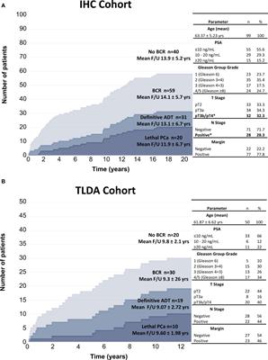 High infiltration of CD209+ dendritic cells and CD163+ macrophages in the peritumor area of prostate cancer is predictive of late adverse outcomes